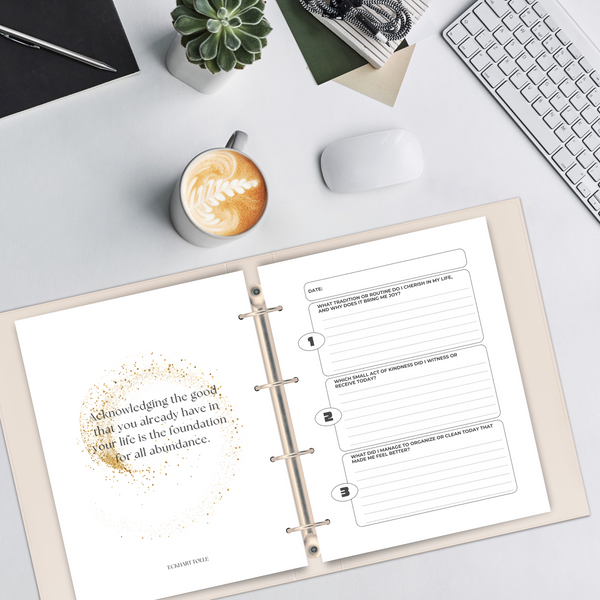 GRATEFUL Guided Journaling Gratitude Experience  - Gratitude Journal